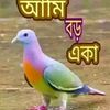 sathiharamoni