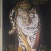 sukron_parlos812