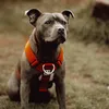 kam_kam91ck