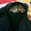 aakash7356