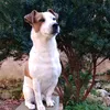 stefy738168182091