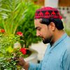 rahmatali9074