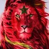 kaouach.abdelaziz