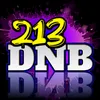 213_dnb