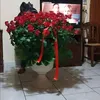 marialog9bb