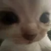 useryb977qj7zb