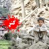 zainullah__niazi