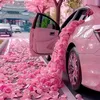 _soso_253
