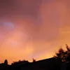 silvanafavorito