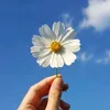 lucky_mmn