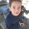 user3461855016342