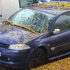 jorgeenriquerojas900