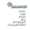 nasez2444