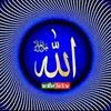 user805844839195