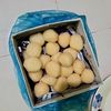 nure.alam755