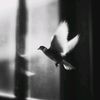 ewr_sixuka0