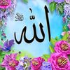 zeynep353576