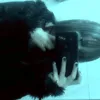 weird_jubs