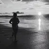 freddie_m51