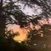 phth_1307