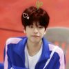 i_love_mystraykids
