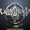 csatik_kyokushin_dojo_se