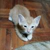 mimimoll6