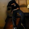 joseespinoza6024