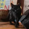 meoden2107