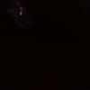 rahid___00