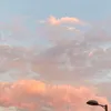 crescen_t1230