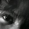 iamiky__
