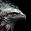 ayman_iq999