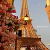 davidsh297