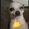 flopsieflapsie