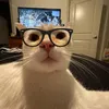 do_ml_thidoiten