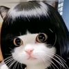 user7719914927937