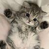 __your__cute