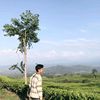 figohartaanom