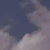 idk_whatgrassis