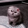 hiddenagsdf