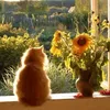 _thesunhasgone_