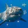 ya_sharky