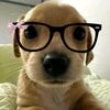 sejal_rampathi