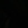 riyadh3019