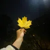 Бека