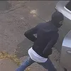 gangshit678