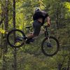 andrehalldin08