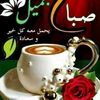 aboahmed4774