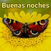 user238149724123